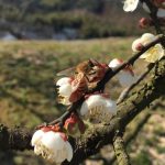 janny1990的头像-EA研究院